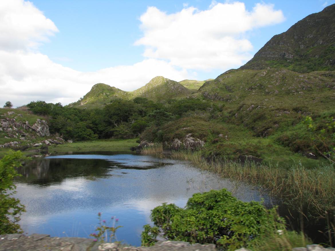 Ireland-summer-2010-till-10-8-2010-066.jpg